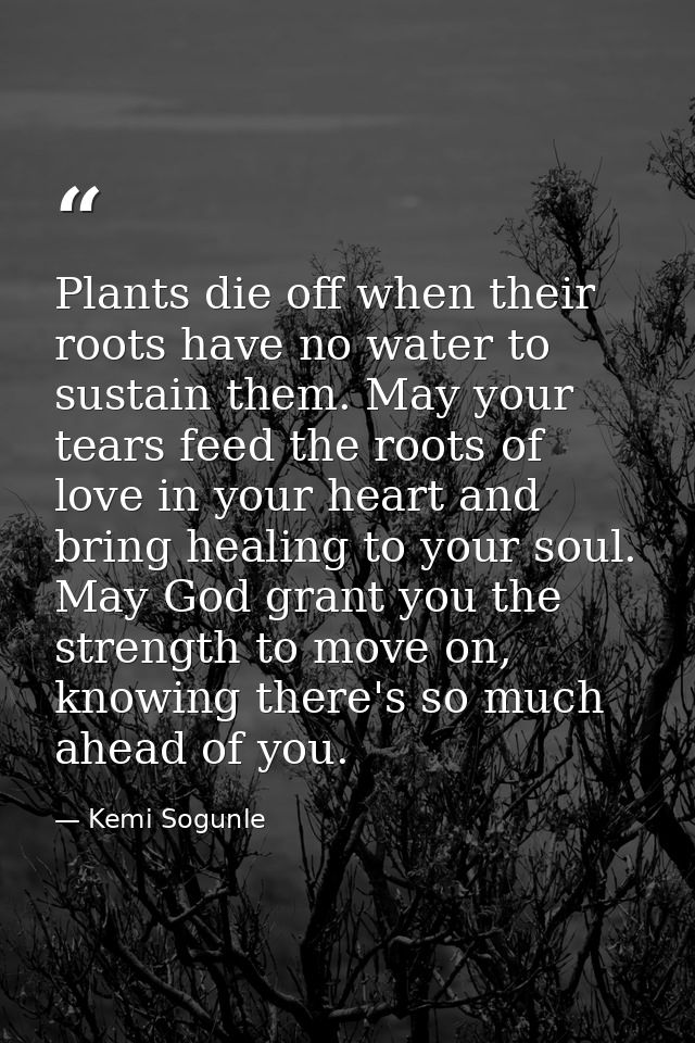Plants die off when their roots have no water to sustain them. May your tears feed the roots of love in your heart and b — Kemi Sogunle