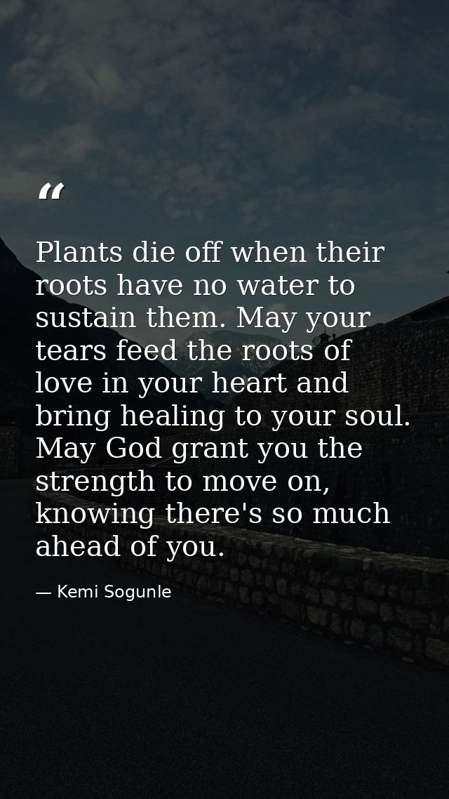 Plants die off when their roots have no water to sustain them. May your tears feed the roots of love in your heart and b — Kemi Sogunle