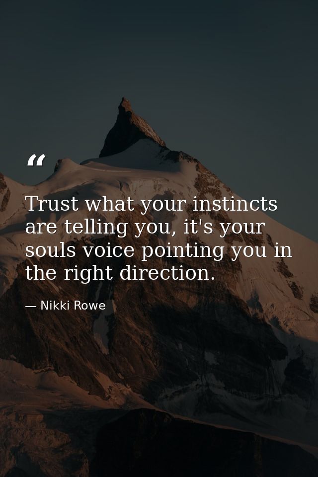 Trust what your instincts are telling you, it's your souls voice pointing you in the right direction. — Nikki Rowe