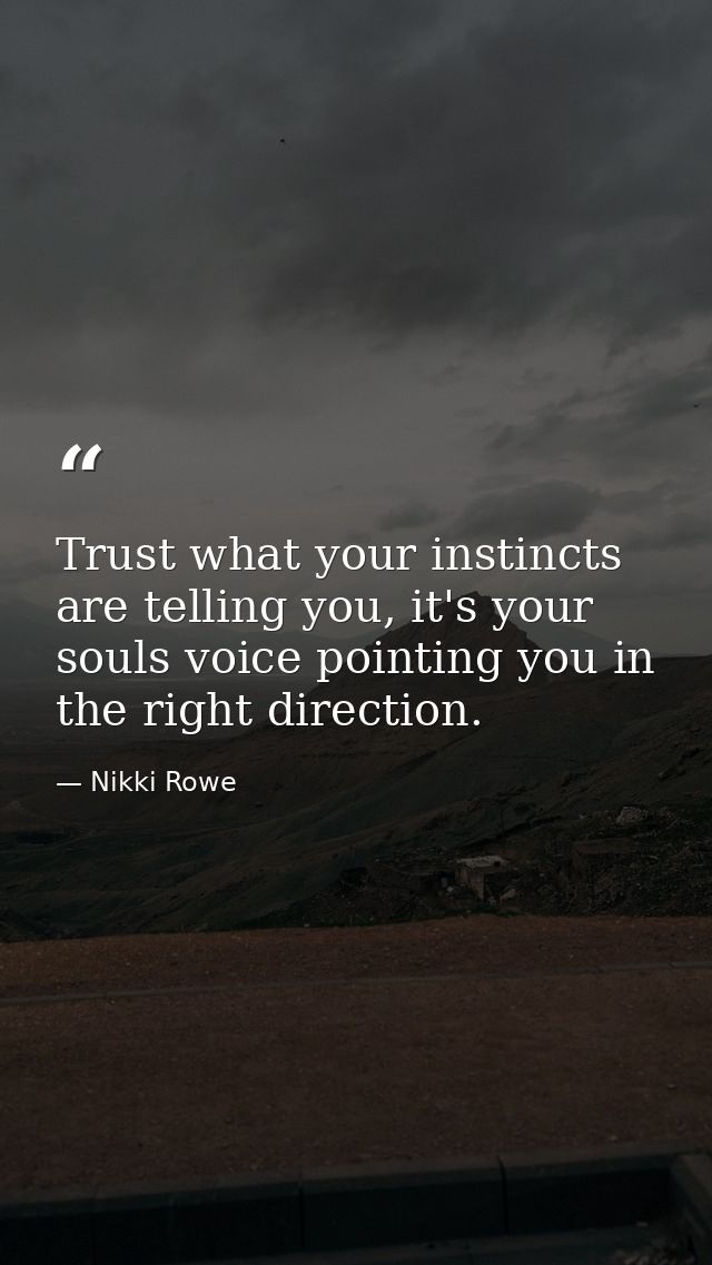 Trust what your instincts are telling you, it's your souls voice pointing you in the right direction. — Nikki Rowe