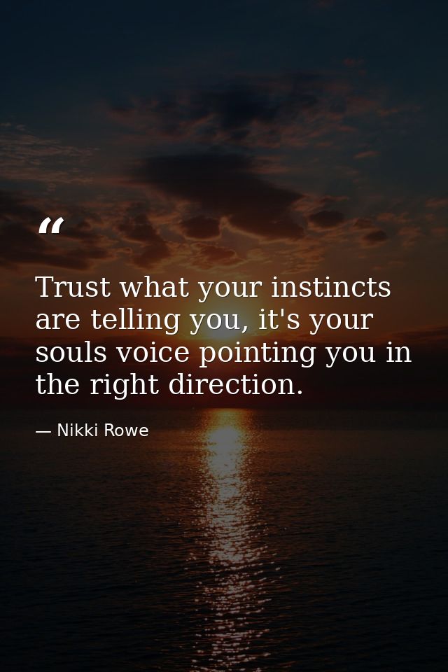 Trust what your instincts are telling you, it's your souls voice pointing you in the right direction. — Nikki Rowe