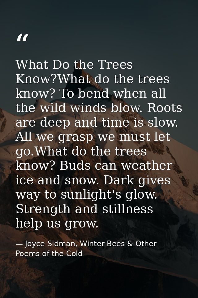 What Do the Trees Know?What do the trees know? To bend when all the wild winds blow. Roots are deep and time is slow. Al — Joyce Sidman, Winter Bees & Other Poems of the Cold