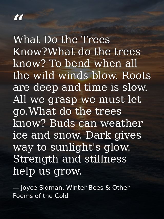 What Do the Trees Know?What do the trees know? To bend when all the wild winds blow. Roots are deep and time is slow. Al — Joyce Sidman, Winter Bees & Other Poems of the Cold
