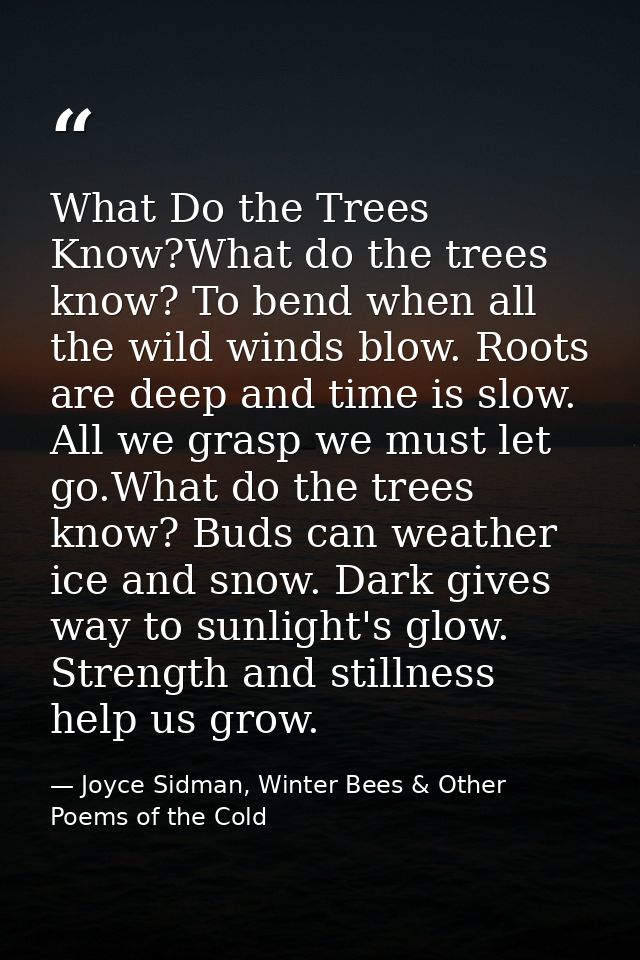 What Do the Trees Know?What do the trees know? To bend when all the wild winds blow. Roots are deep and time is slow. Al — Joyce Sidman, Winter Bees & Other Poems of the Cold