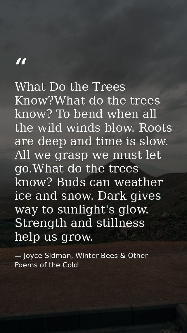 What Do the Trees Know?What do the trees know? To bend when all the wild winds blow. Roots are deep and time is slow. Al — Joyce Sidman, Winter Bees & Other Poems of the Cold