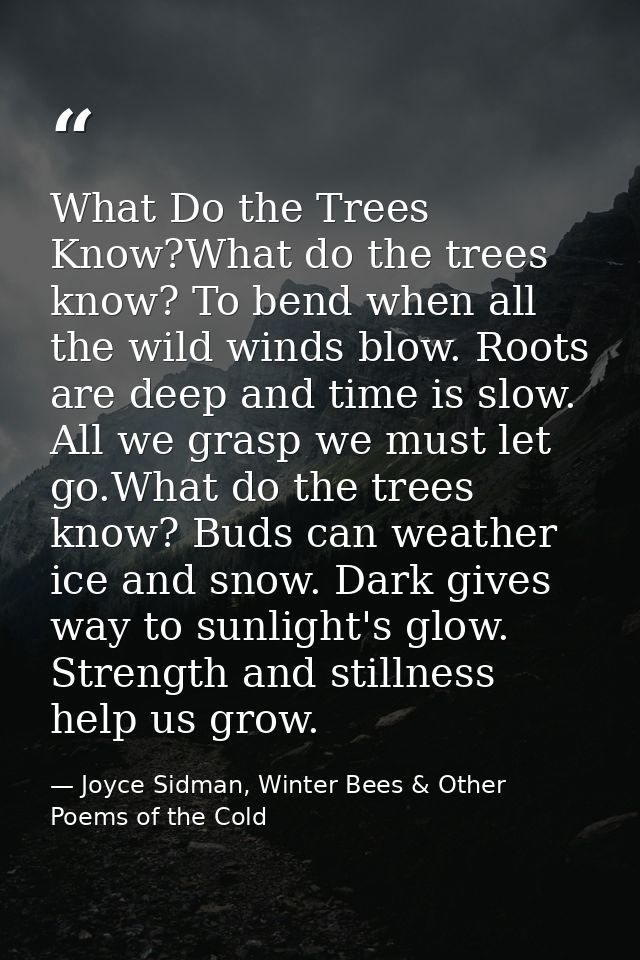 What Do the Trees Know?What do the trees know? To bend when all the wild winds blow. Roots are deep and time is slow. Al — Joyce Sidman, Winter Bees & Other Poems of the Cold