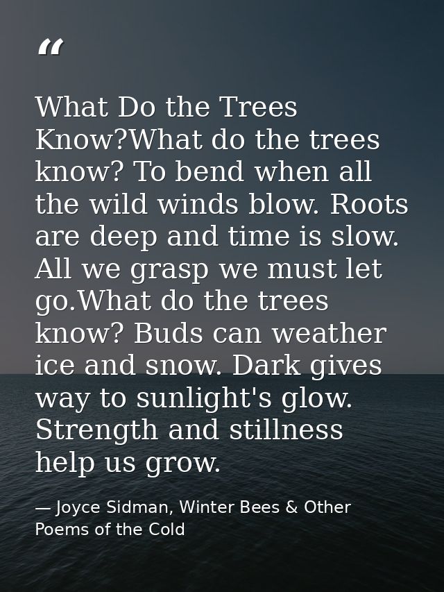 What Do the Trees Know?What do the trees know? To bend when all the wild winds blow. Roots are deep and time is slow. Al — Joyce Sidman, Winter Bees & Other Poems of the Cold