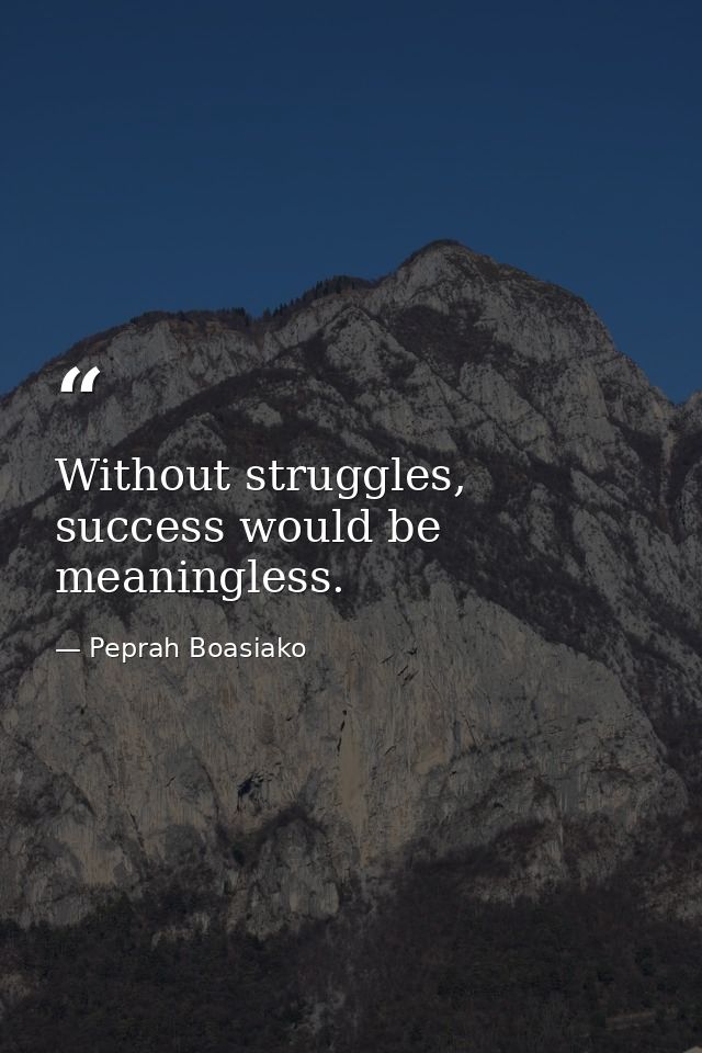 Without struggles, success would be meaningless. — Peprah Boasiako
