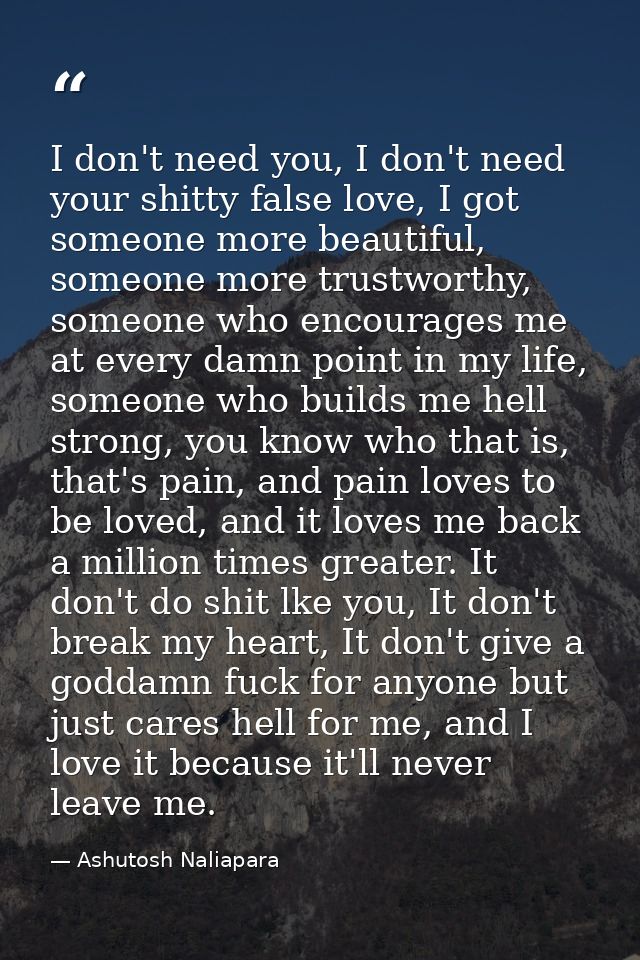 I don't need you, I don't need your shitty false love, I got someone more beautiful, someone more trustworthy, someone w — Ashutosh Naliapara