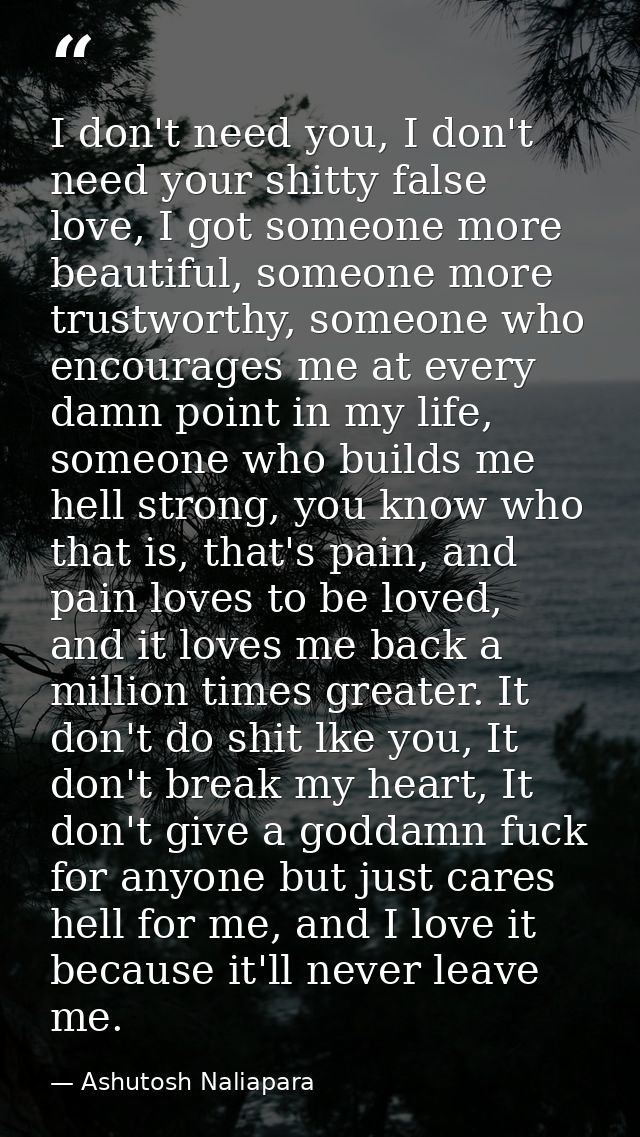 I don't need you, I don't need your shitty false love, I got someone more beautiful, someone more trustworthy, someone w — Ashutosh Naliapara