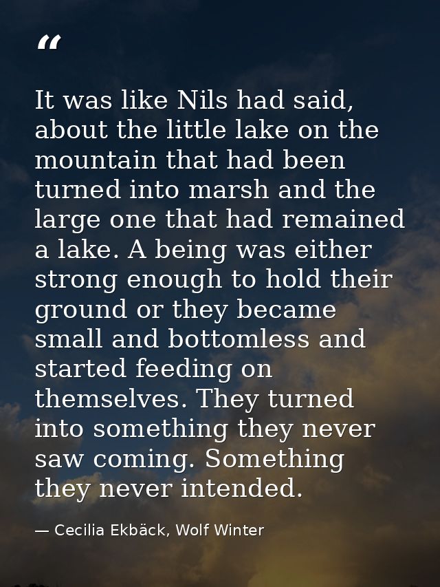 It was like Nils had said, about the little lake on the mountain that had been turned into marsh and the large one that  — Cecilia Ekbäck, Wolf Winter