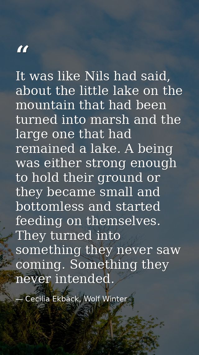 It was like Nils had said, about the little lake on the mountain that had been turned into marsh and the large one that  — Cecilia Ekbäck, Wolf Winter