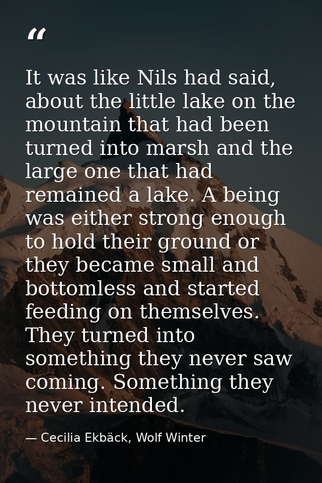 It was like Nils had said, about the little lake on the mountain that had been turned into marsh and the large one that  — Cecilia Ekbäck, Wolf Winter