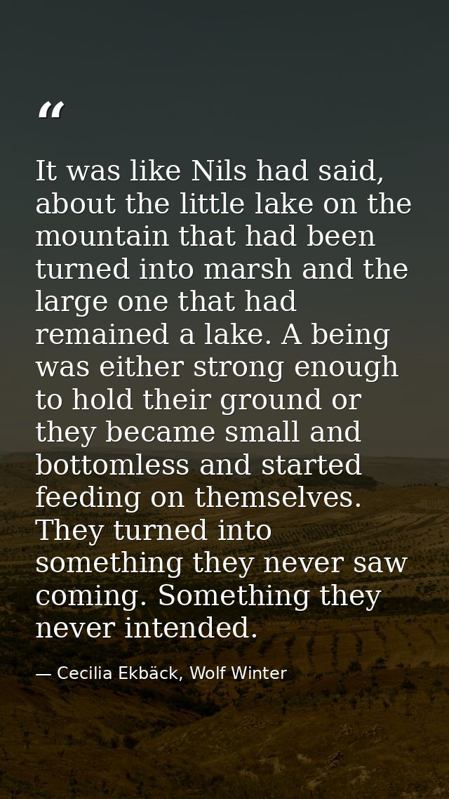 It was like Nils had said, about the little lake on the mountain that had been turned into marsh and the large one that  — Cecilia Ekbäck, Wolf Winter