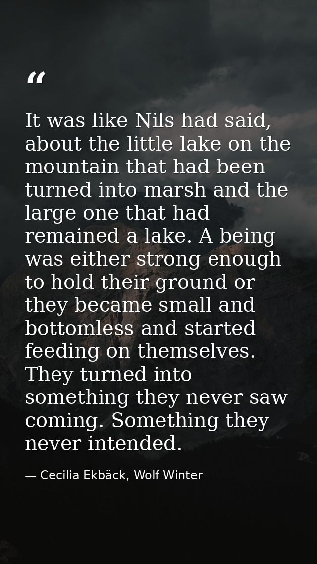 It was like Nils had said, about the little lake on the mountain that had been turned into marsh and the large one that  — Cecilia Ekbäck, Wolf Winter