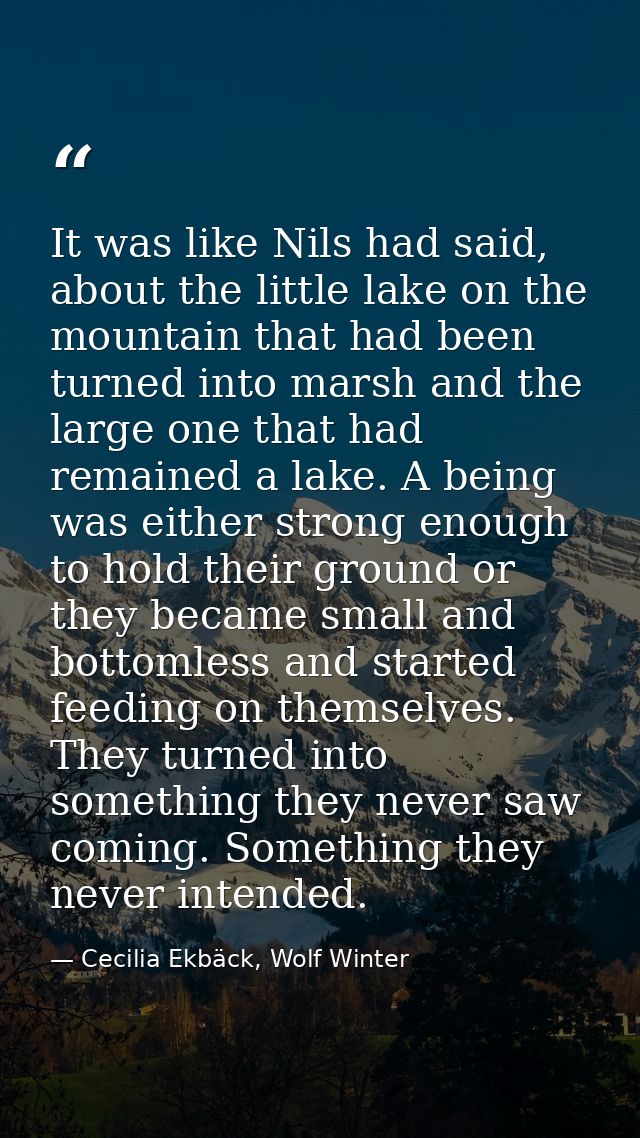 It was like Nils had said, about the little lake on the mountain that had been turned into marsh and the large one that  — Cecilia Ekbäck, Wolf Winter