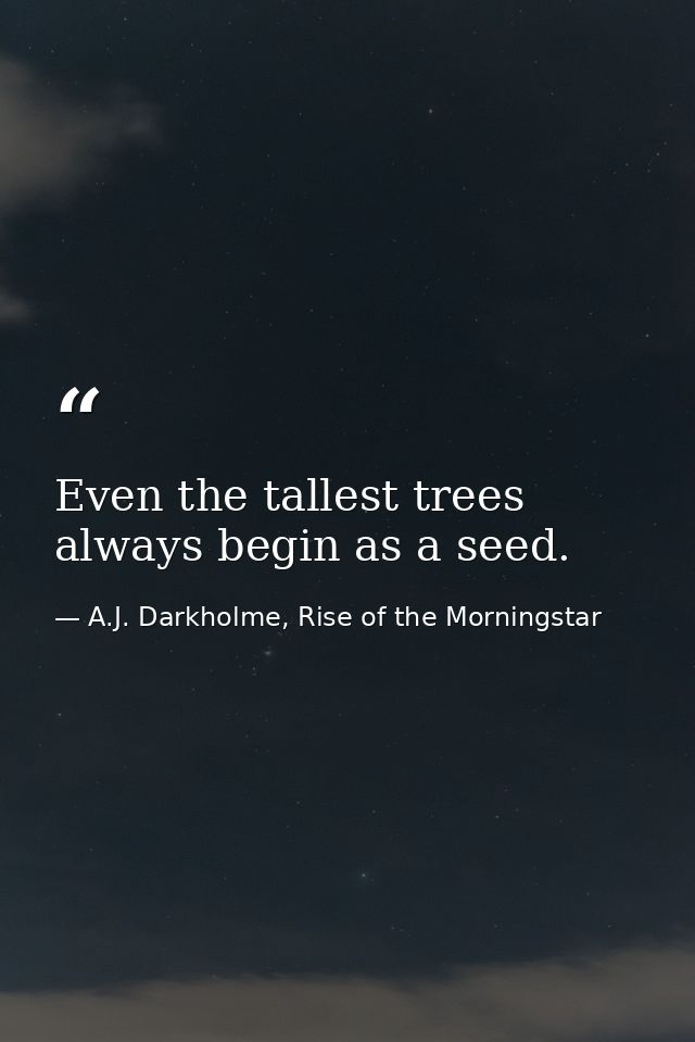 Even the tallest trees always begin as a seed. — A.J. Darkholme, Rise of the Morningstar