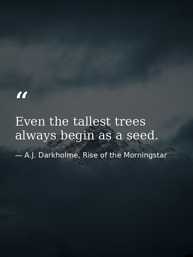 Even the tallest trees always begin as a seed. — A.J. Darkholme, Rise of the Morningstar
