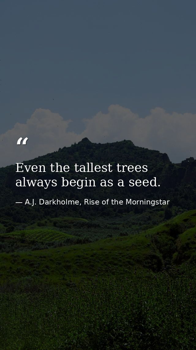 Even the tallest trees always begin as a seed. — A.J. Darkholme, Rise of the Morningstar