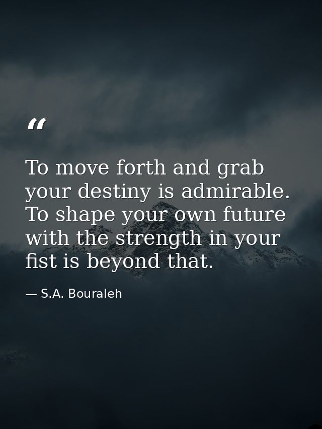 To move forth and grab your destiny is admirable. To shape your own future with the strength in your fist is beyond that — S.A. Bouraleh
