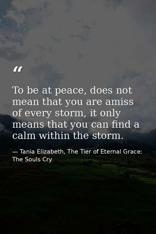 To be at peace, does not mean that you are amiss of every storm, it only means that you can find a calm within the storm — Tania Elizabeth, The Tier of Eternal Grace: The Souls Cry