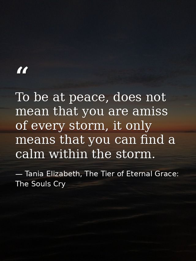 To be at peace, does not mean that you are amiss of every storm, it only means that you can find a calm within the storm — Tania Elizabeth, The Tier of Eternal Grace: The Souls Cry