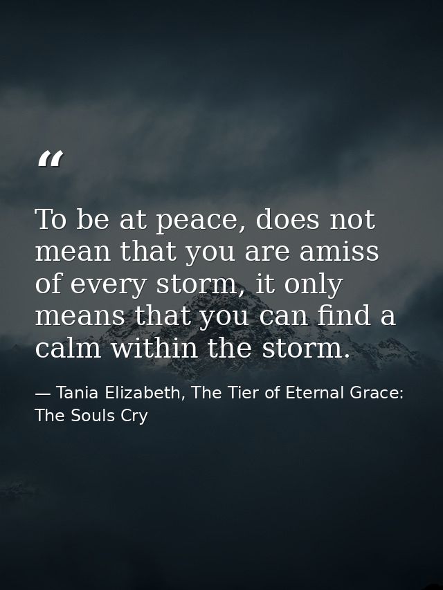 To be at peace, does not mean that you are amiss of every storm, it only means that you can find a calm within the storm — Tania Elizabeth, The Tier of Eternal Grace: The Souls Cry