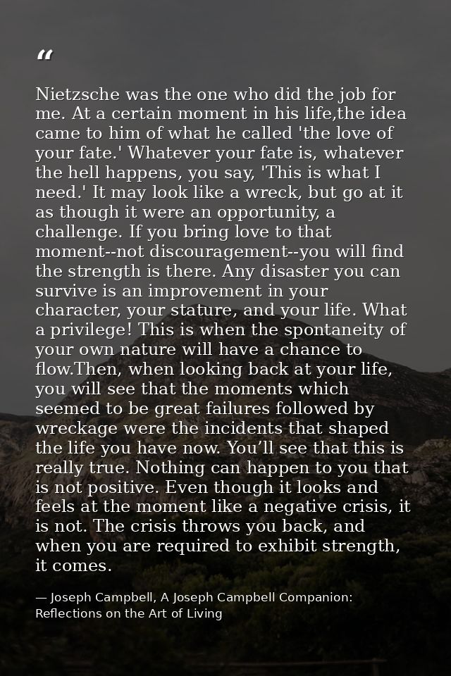 Nietzsche was the one who did the job for me. At a certain moment in his life,the idea came to him of what he called 'th — Joseph Campbell, A Joseph Campbell Companion: Reflections on the Art of Living