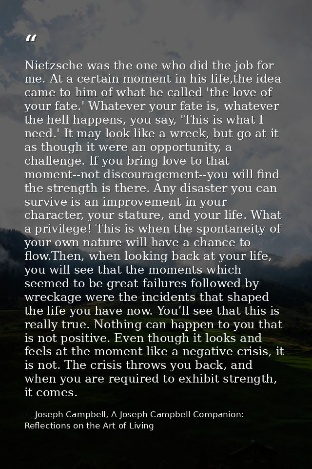 Nietzsche was the one who did the job for me. At a certain moment in his life,the idea came to him of what he called 'th — Joseph Campbell, A Joseph Campbell Companion: Reflections on the Art of Living
