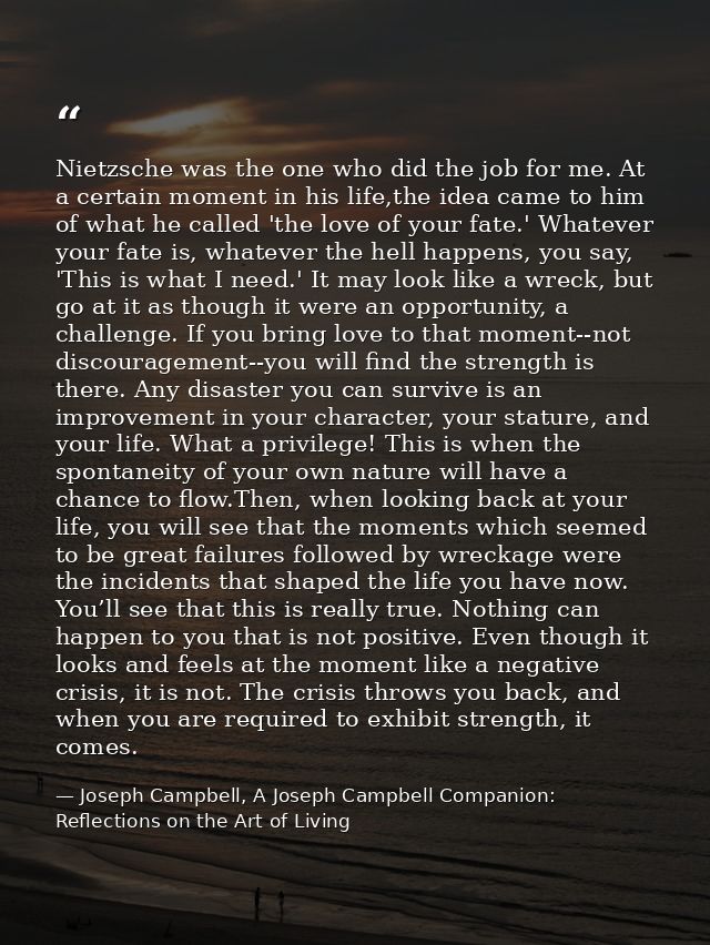 Nietzsche was the one who did the job for me. At a certain moment in his life,the idea came to him of what he called 'th — Joseph Campbell, A Joseph Campbell Companion: Reflections on the Art of Living