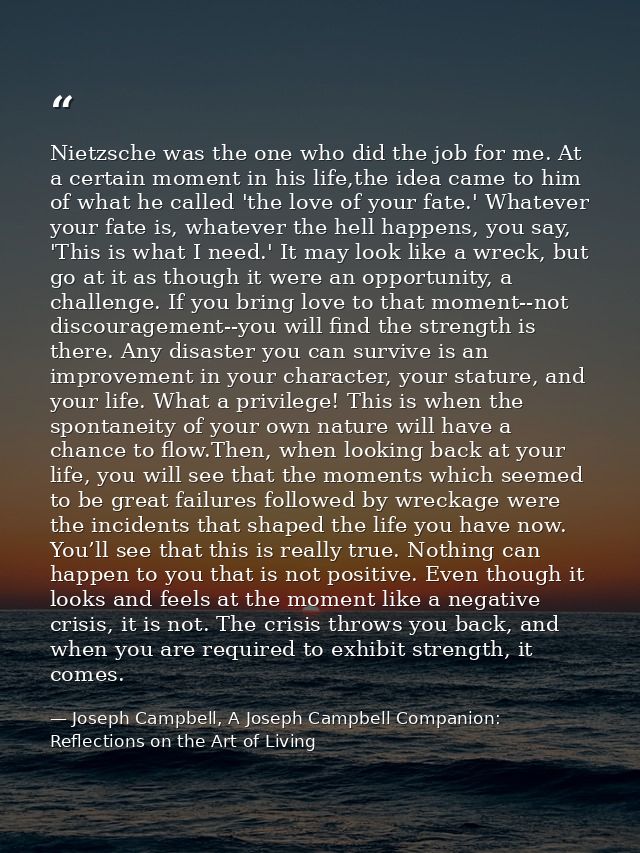 Nietzsche was the one who did the job for me. At a certain moment in his life,the idea came to him of what he called 'th — Joseph Campbell, A Joseph Campbell Companion: Reflections on the Art of Living