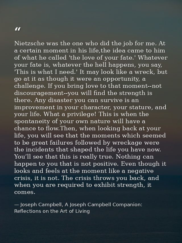 Nietzsche was the one who did the job for me. At a certain moment in his life,the idea came to him of what he called 'th — Joseph Campbell, A Joseph Campbell Companion: Reflections on the Art of Living