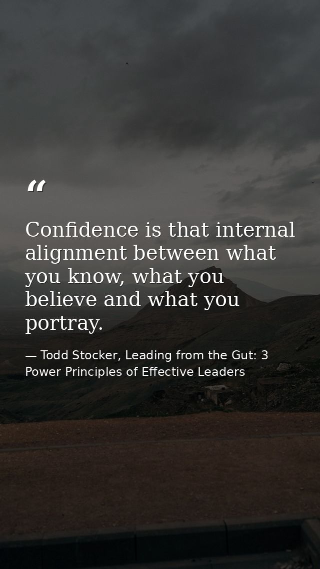 Confidence is that internal alignment between what you know, what you believe and what you portray. — Todd Stocker, Leading from the Gut: 3 Power Principles of Effective Leaders