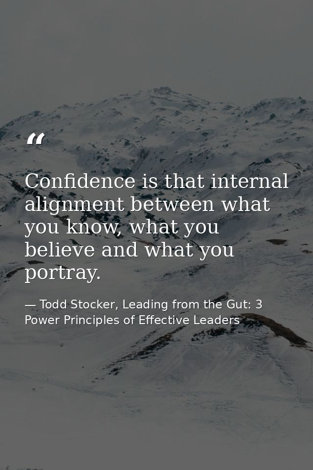 Confidence is that internal alignment between what you know, what you believe and what you portray. — Todd Stocker, Leading from the Gut: 3 Power Principles of Effective Leaders