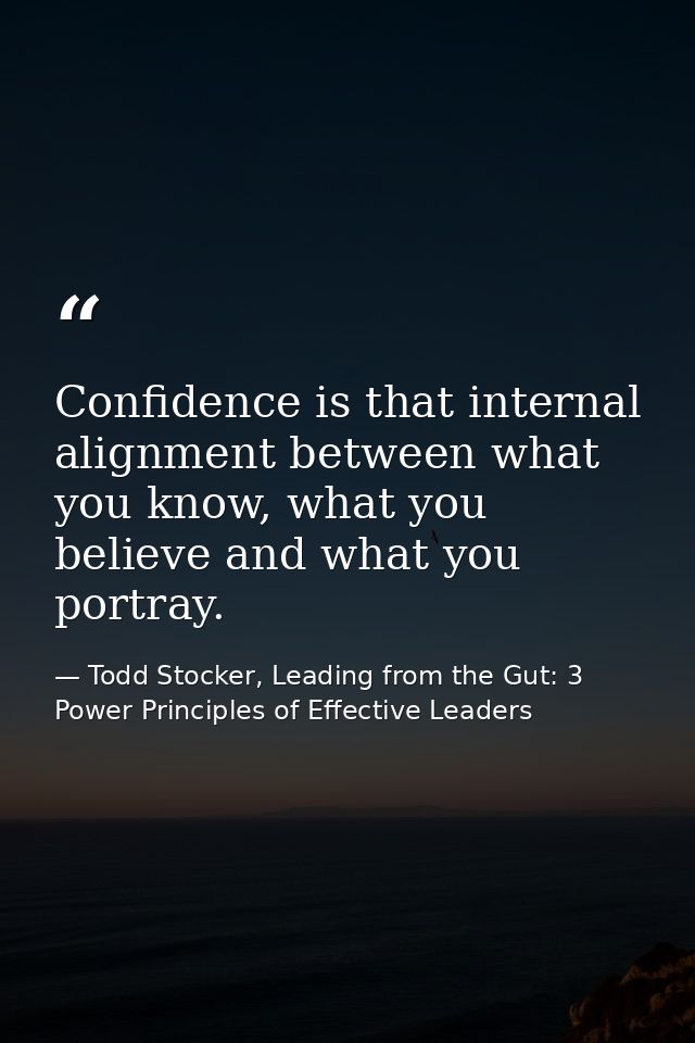 Confidence is that internal alignment between what you know, what you believe and what you portray. — Todd Stocker, Leading from the Gut: 3 Power Principles of Effective Leaders