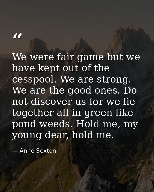 We were fair game but we have kept out of the cesspool. We are strong. We are the good ones. Do not discover us for we l — Anne Sexton