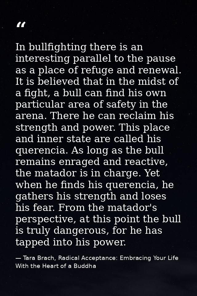 In bullfighting there is an interesting parallel to the pause as a place of refuge and renewal. It is believed that in t — Tara Brach, Radical Acceptance: Embracing Your Life With the Heart of a Buddha