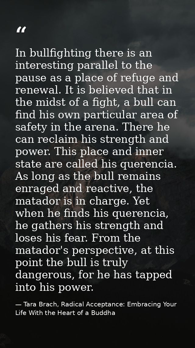 In bullfighting there is an interesting parallel to the pause as a place of refuge and renewal. It is believed that in t — Tara Brach, Radical Acceptance: Embracing Your Life With the Heart of a Buddha