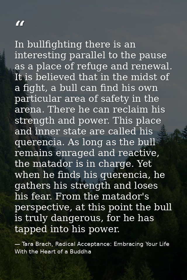 In bullfighting there is an interesting parallel to the pause as a place of refuge and renewal. It is believed that in t — Tara Brach, Radical Acceptance: Embracing Your Life With the Heart of a Buddha