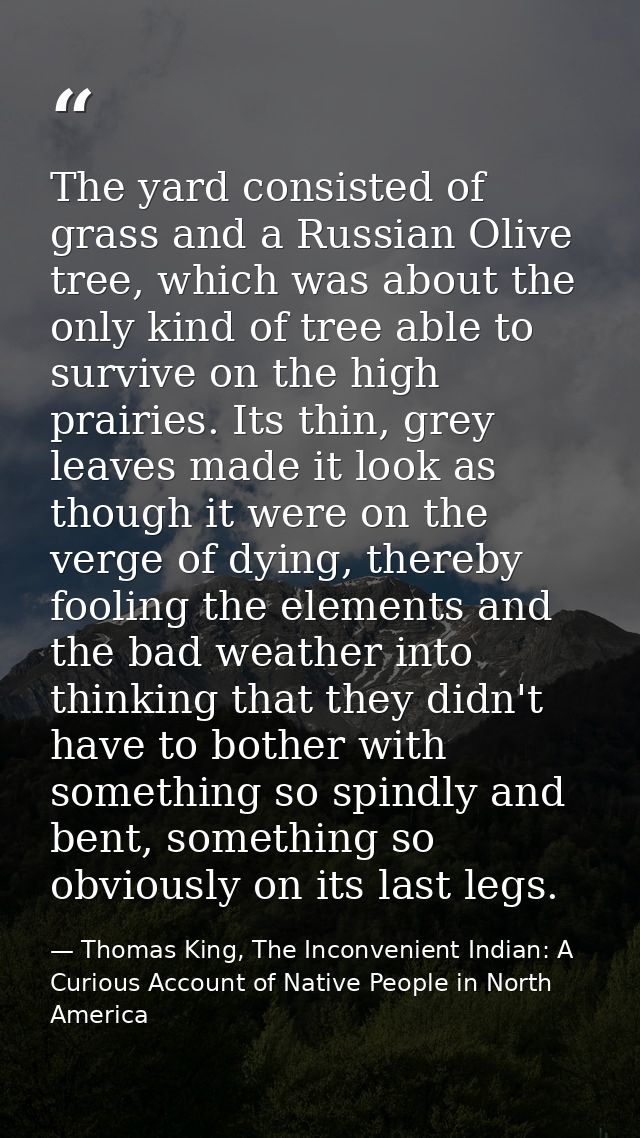 The yard consisted of grass and a Russian Olive tree, which was about the only kind of tree able to survive on the high  — Thomas King, The Inconvenient Indian: A Curious Account of Native People in North America