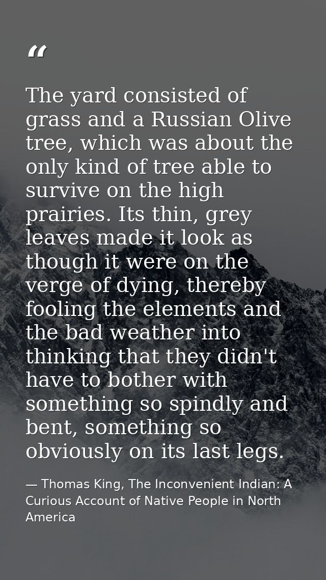 The yard consisted of grass and a Russian Olive tree, which was about the only kind of tree able to survive on the high  — Thomas King, The Inconvenient Indian: A Curious Account of Native People in North America