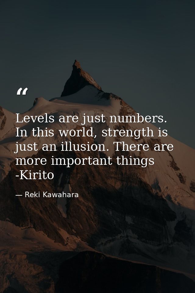 Levels are just numbers. In this world, strength is just an illusion. There are more important things -Kirito — Reki Kawahara