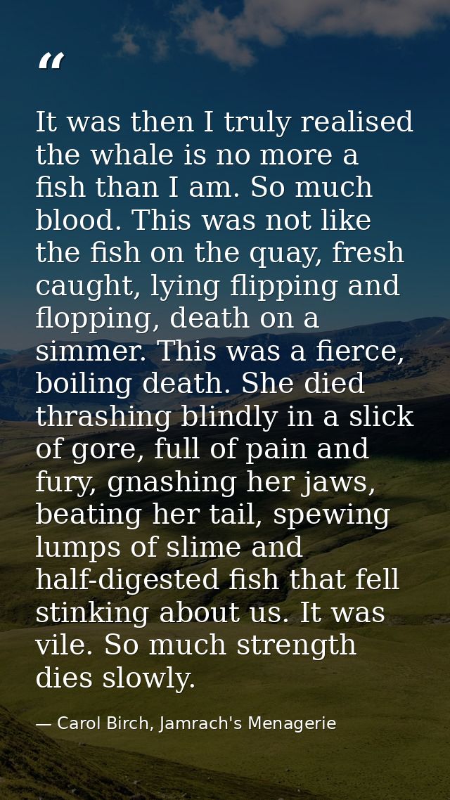 It was then I truly realised the whale is no more a fish than I am. So much blood. This was not like the fish on the qua — Carol Birch, Jamrach's Menagerie