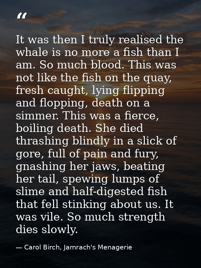 It was then I truly realised the whale is no more a fish than I am. So much blood. This was not like the fish on the qua — Carol Birch, Jamrach's Menagerie