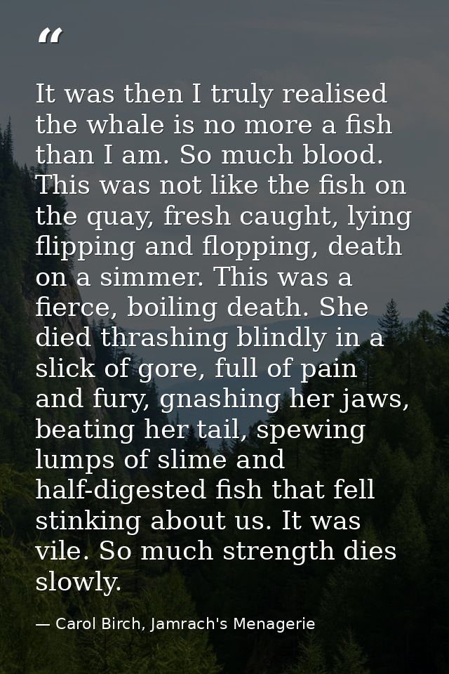 It was then I truly realised the whale is no more a fish than I am. So much blood. This was not like the fish on the qua — Carol Birch, Jamrach's Menagerie
