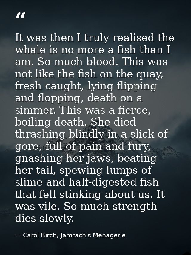 It was then I truly realised the whale is no more a fish than I am. So much blood. This was not like the fish on the qua — Carol Birch, Jamrach's Menagerie