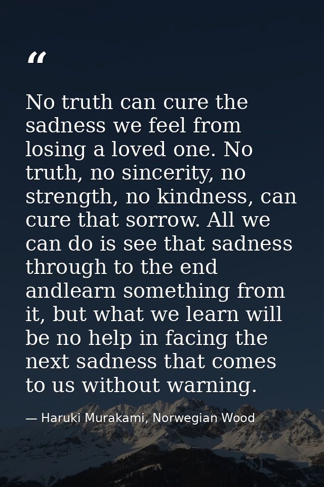 No truth can cure the sadness we feel from losing a loved one. No truth, no sincerity, no strength, no kindness, can cur — Haruki Murakami, Norwegian Wood
