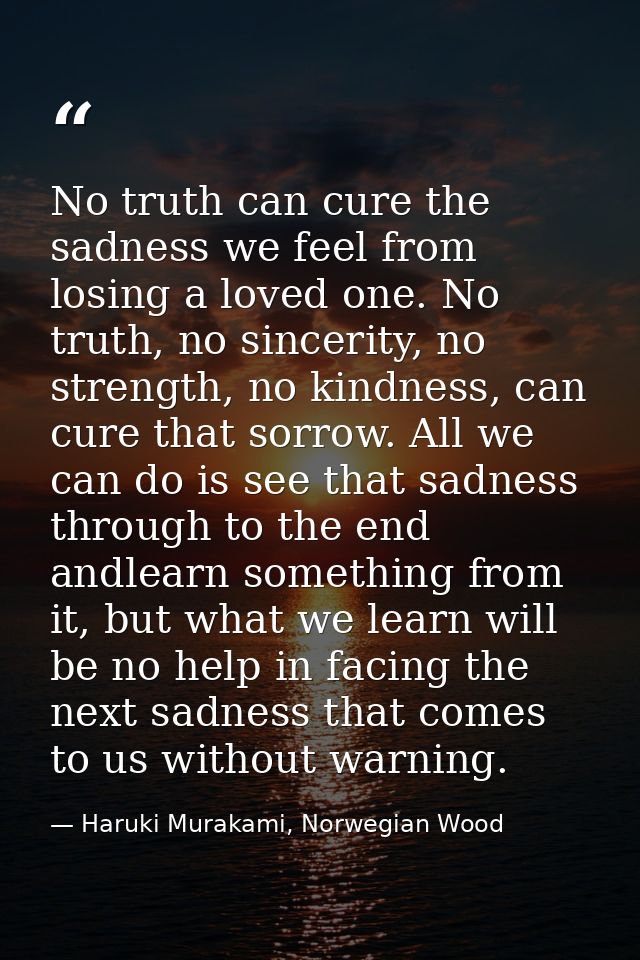 No truth can cure the sadness we feel from losing a loved one. No truth, no sincerity, no strength, no kindness, can cur — Haruki Murakami, Norwegian Wood