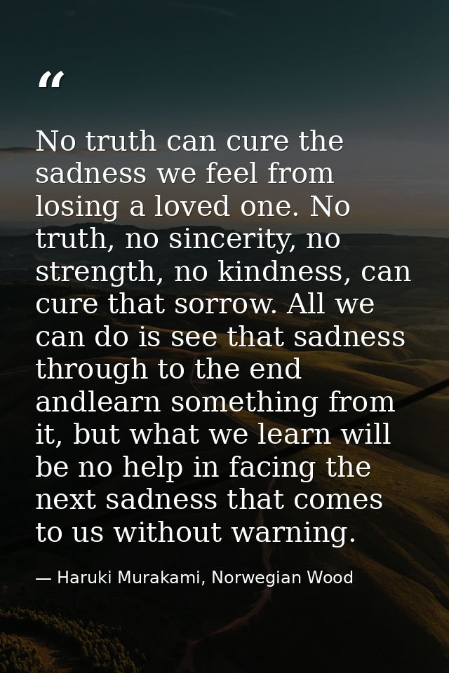 No truth can cure the sadness we feel from losing a loved one. No truth, no sincerity, no strength, no kindness, can cur — Haruki Murakami, Norwegian Wood