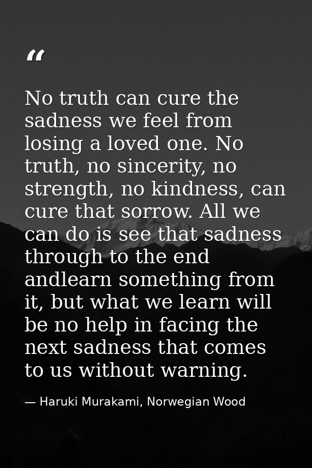 No truth can cure the sadness we feel from losing a loved one. No truth, no sincerity, no strength, no kindness, can cur — Haruki Murakami, Norwegian Wood